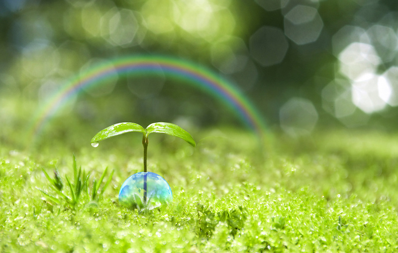 省エネ計算、株式会社 岩田建築事務所